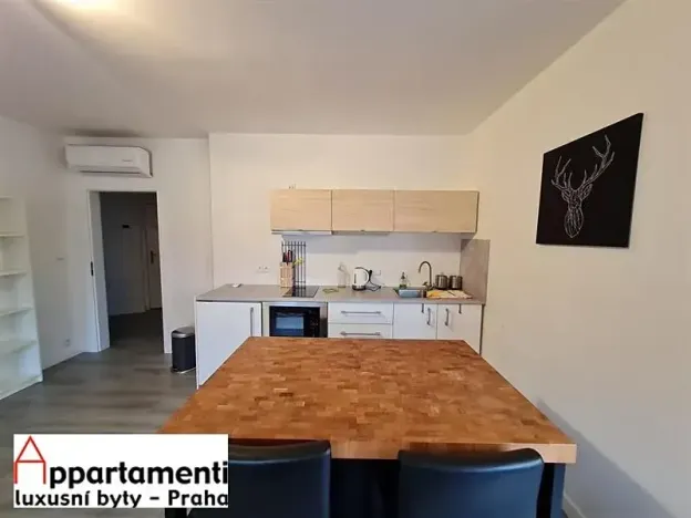 Pronájem bytu 2+kk, Praha - Vinohrady, Na Švihance, 73 m2
