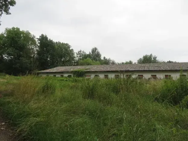 Dražba pozemku, Zhoř, 2409 m2