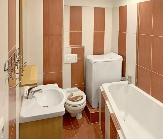 Pronájem bytu 1+1, Chodov, Čs. odbojářů, 36 m2