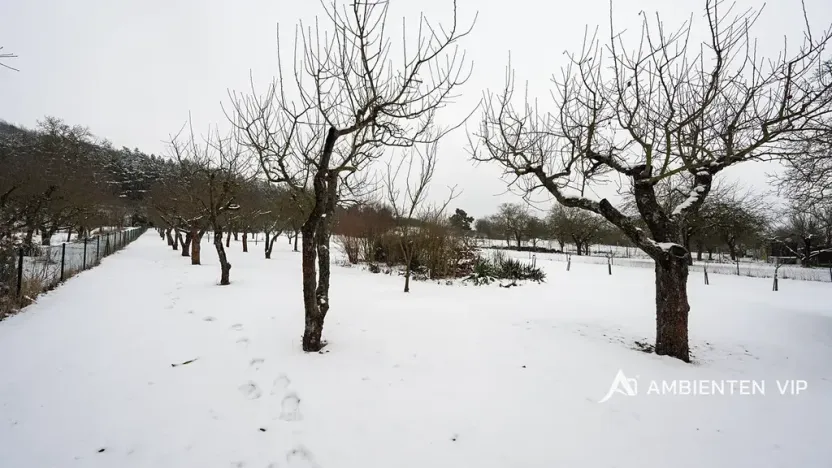 Prodej rodinného domu, Čebín, 160 m2