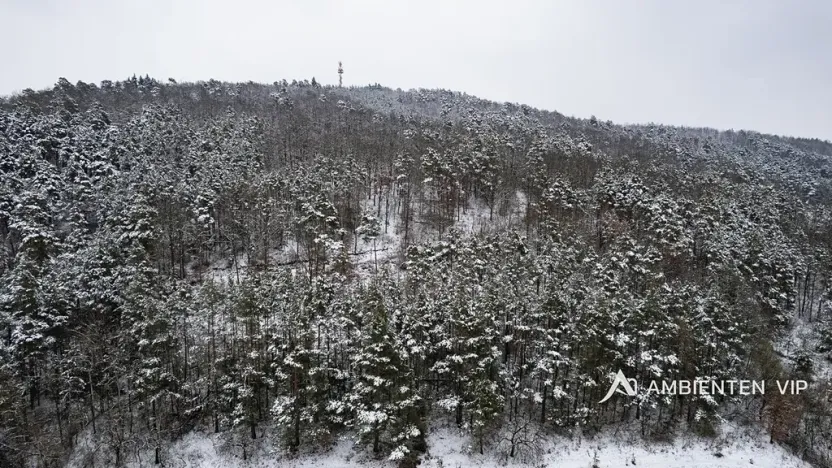 Prodej rodinného domu, Čebín, 160 m2