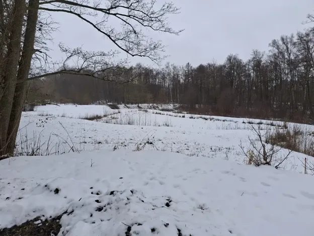 Prodej pozemku, Odrava, 5732 m2