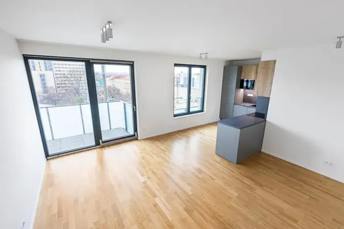 Prodej bytu 2+kk, Praha - Žižkov, U Viktorie, 63 m2