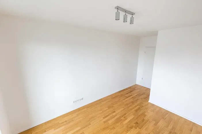 Prodej bytu 2+kk, Praha - Žižkov, U Viktorie, 63 m2