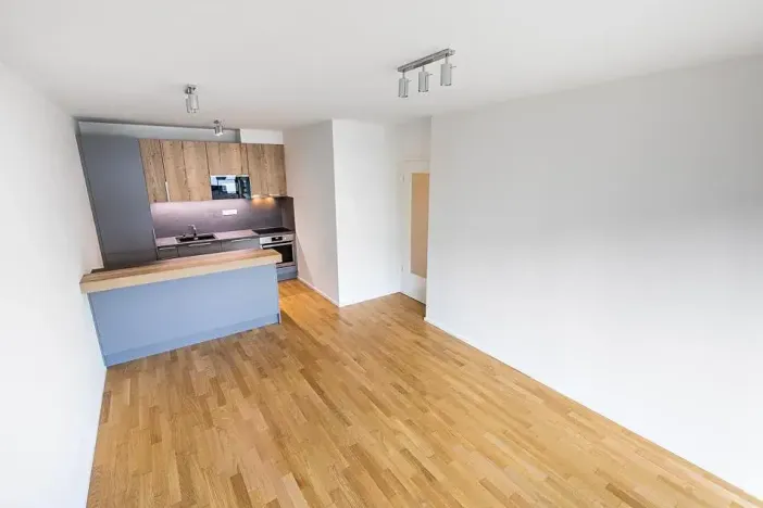 Prodej bytu 3+kk, Praha - Žižkov, U Viktorie, 70 m2