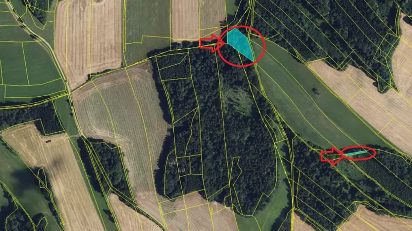 Prodej lesa, Ludmírov, 9585 m2