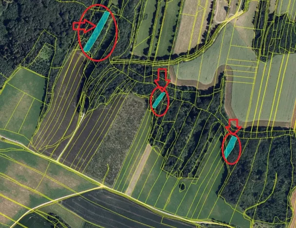 Prodej lesa, Ludmírov, 9585 m2