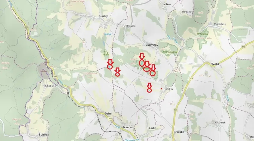 Prodej lesa, Ludmírov, 9585 m2