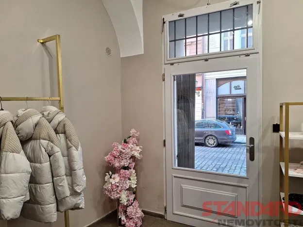 Pronájem obchodního prostoru, Plzeň, Bezručova, 53 m2