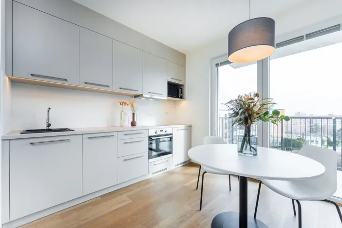 Pronájem bytu 1+kk, Plzeň - Skvrňany, Františka Kováříka, 39 m2