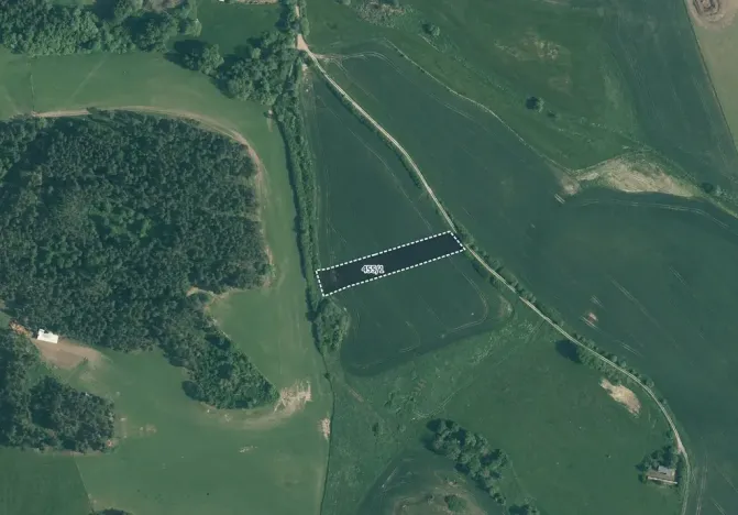 Prodej pole, Velký Bor, 11261 m2