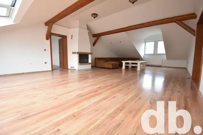 Pronájem bytu 4+kk, Karlovy Vary, Západní, 240 m2