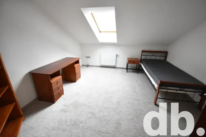 Pronájem bytu 4+kk, Karlovy Vary, Západní, 240 m2