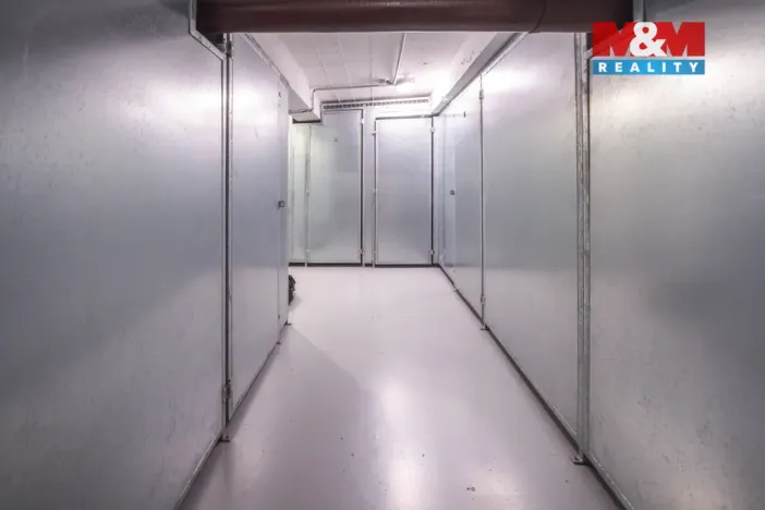 Prodej obchodního prostoru, Praha - Žižkov, Biskupcova, 54 m2