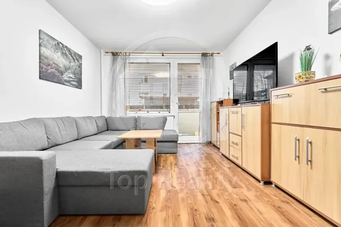 Prodej bytu 3+1, Sokolov, Mičurinova, 64 m2