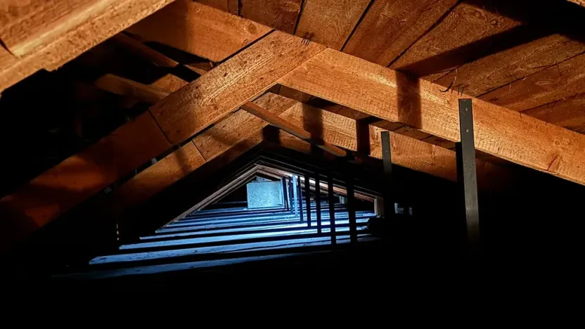 Prodej komerční nemovitosti, Smržice, Zákantí, 400 m2