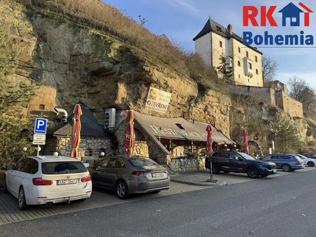 Pronájem restaurace, Mladá Boleslav, Ptácká, 410 m2