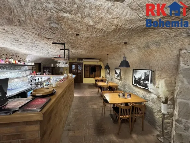 Pronájem restaurace, Mladá Boleslav, Ptácká, 410 m2