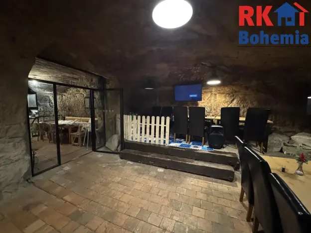 Pronájem restaurace, Mladá Boleslav, Ptácká, 410 m2