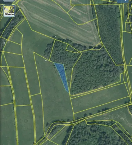 Prodej lesa, Čepřovice, 1644 m2