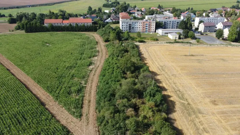 Prodej pole, Žihle, 6167 m2