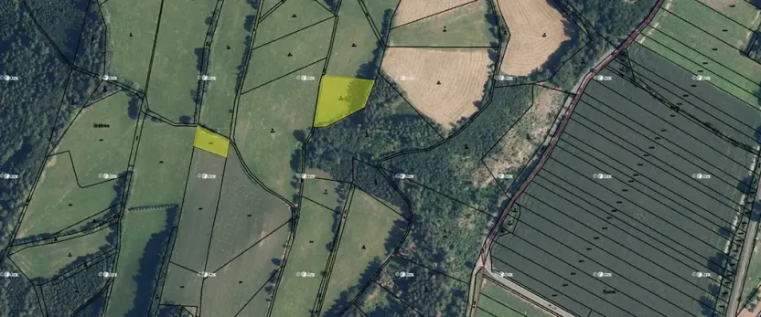 Prodej pole, Hoštice, 2207 m2