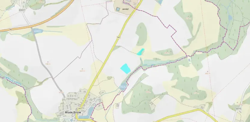 Dražba pole, Mladé Bříště, 9114 m2