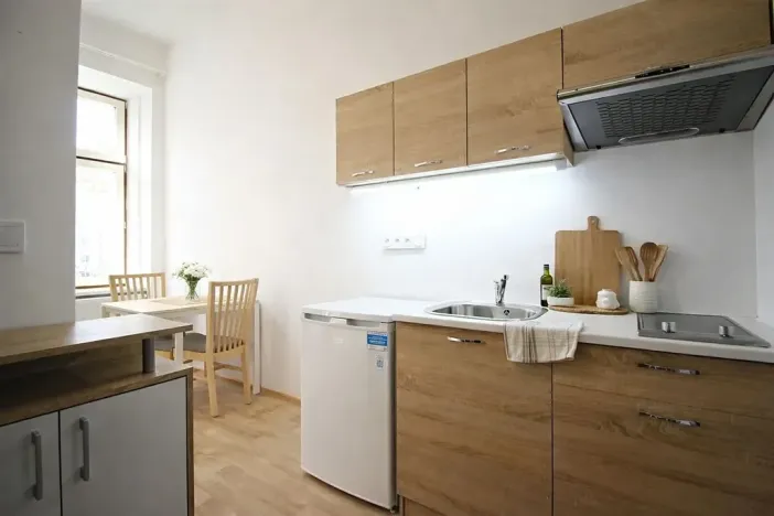 Pronájem bytu 1+kk, Brno, Koliště, 20 m2