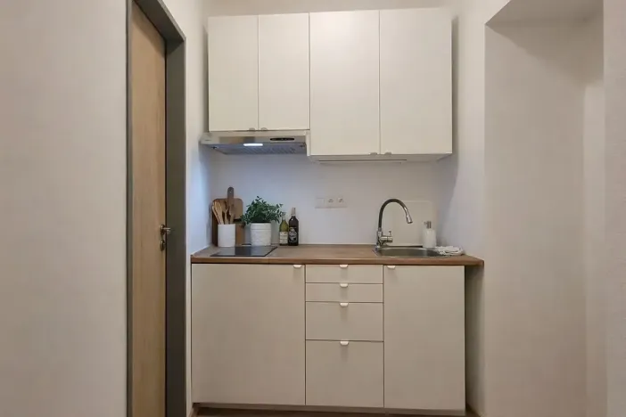 Pronájem bytu 1+kk, Brno, Francouzská, 25 m2