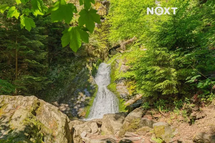 Pronájem ubytování, Horní Město, 250 m2