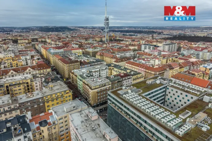 Prodej bytu 1+kk, Praha - Žižkov, Přemyslovská, 38 m2