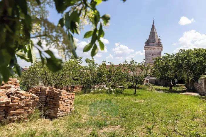 Prodej vinného sklepa, Pavlov, Na Návsi, 49 m2