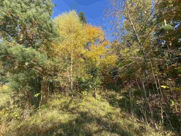 Prodej pole, Železný Brod, 12622 m2