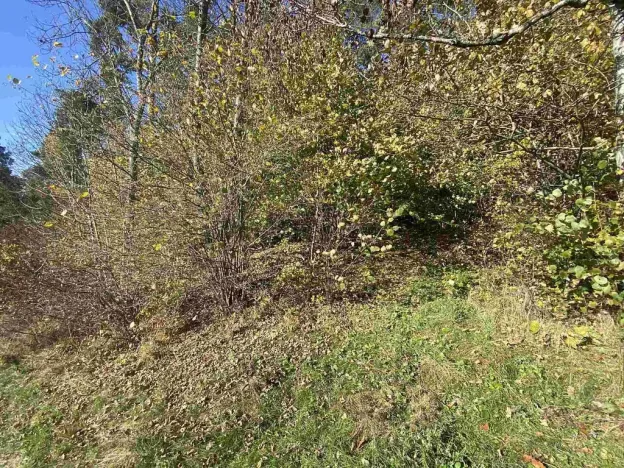 Prodej pole, Železný Brod, 12622 m2