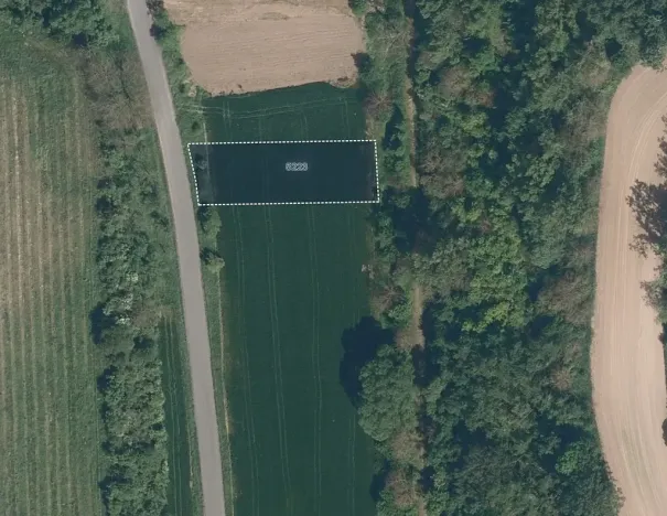 Prodej pole, Ořechov, 7754 m2