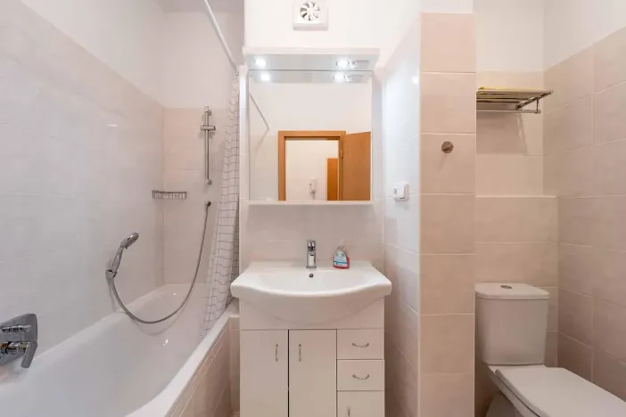 Pronájem bytu 1+1, Olomouc, Na Bystřičce, 41 m2