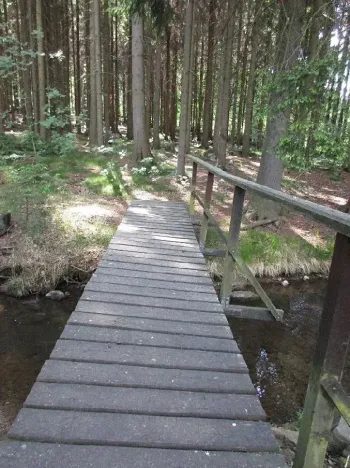 Prodej louky, Velký Šenov, 3266 m2