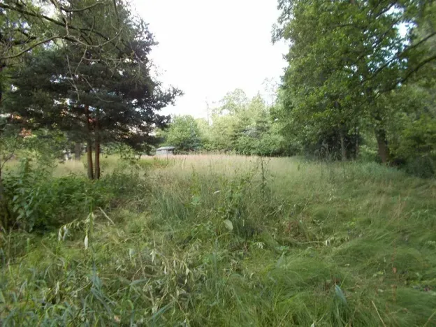 Prodej louky, Velký Šenov, 3266 m2