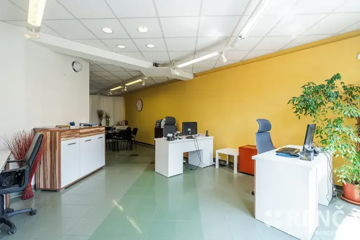 Prodej rodinného domu, Brno, Blatného, 265 m2