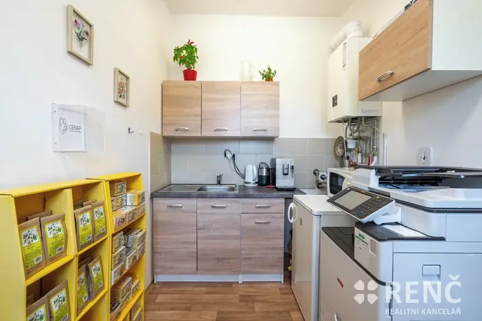 Prodej rodinného domu, Brno, Blatného, 265 m2