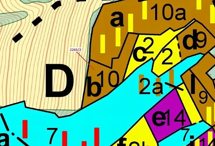 Dražba lesa, Zděchov, 2225 m2