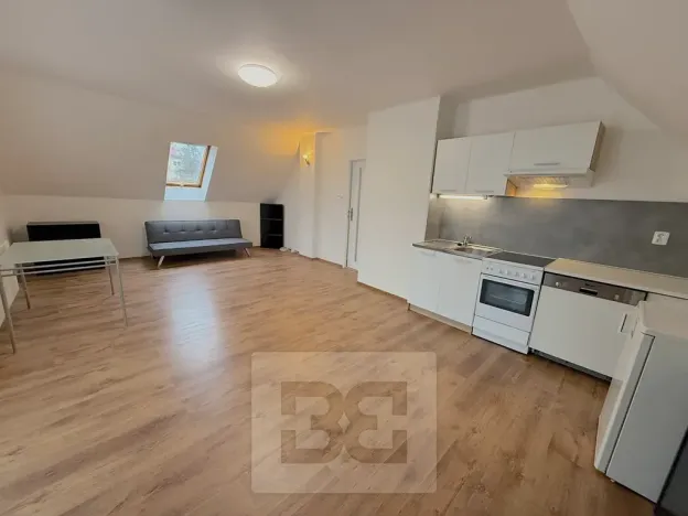 Pronájem atypického bytu, Praha - Stodůlky, Frimlova, 196 m2