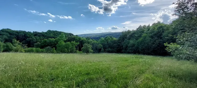 Prodej pole, Březůvky, 9747 m2