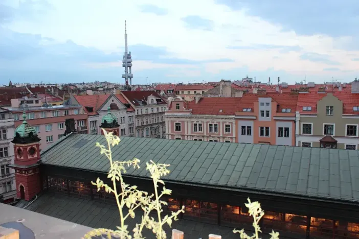 Pronájem bytu 3+1, Praha - Vinohrady, Budečská, 101 m2