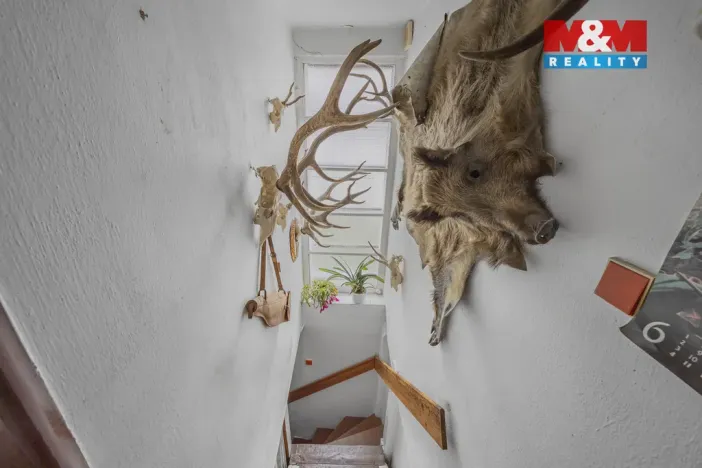 Prodej rodinného domu, Hradec Králové - Nový Hradec Králové, Husova, 92 m2