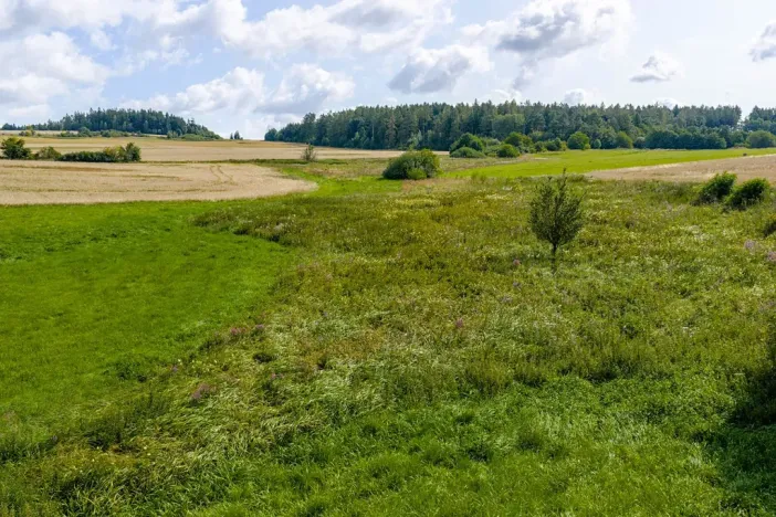 Prodej rybníku, Želetava, 5179 m2