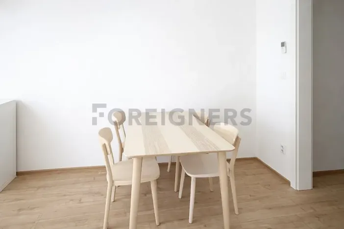 Pronájem bytu 1+kk, Brno, Spolková, 38 m2