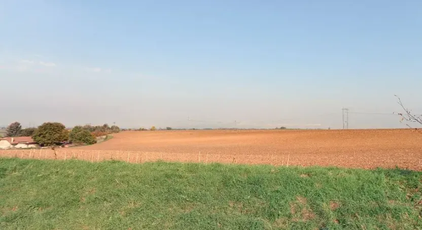 Prodej pole, Břežany I, 10275 m2