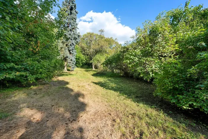 Prodej vícegeneračního domu, Brno, Drobného, 242 m2