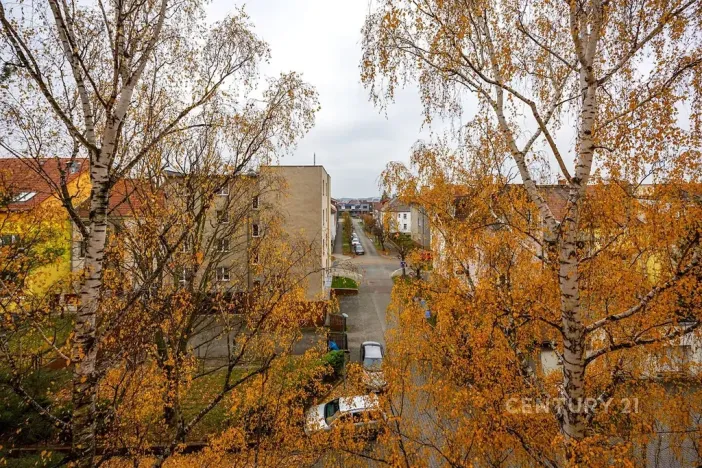 Prodej bytu 2+1, Plzeň, Ořechová, 68 m2